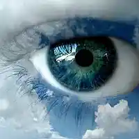 Picture for song 'pretty blue eyes' by artist 'ROLAND LITTLE'