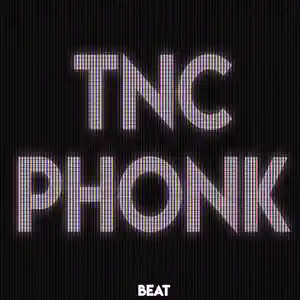 Picture for song 'Phonk' by artist 'TNC'