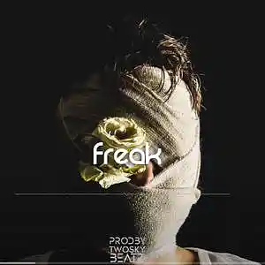 Picture for song 'Freak' by artist '2Sky'