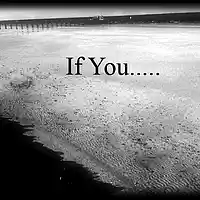 Picture for song 'Shawty If you Want it' by artist 'DeFinition BeatZ'