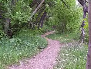 Picture for song 'Dance of Cernunnos' by artist 'Echoes of the Ancients'