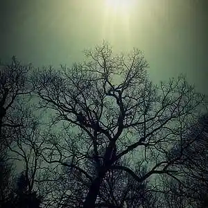 Picture for song 'Zeh Navel (2)' by artist 'Err0r'