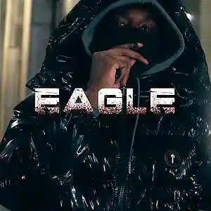 Picture for song 'Eagle' by artist 'Chris Giotis'