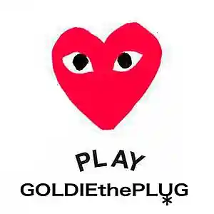 Picture for song 'JUICE WRLD type beat PROD. GOLDIETHEPLUG' by artist 'GOLDIETHEPLUG'