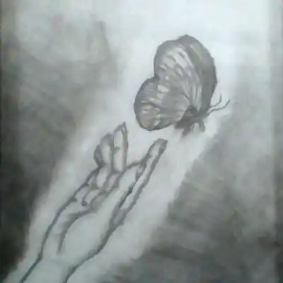 Song picture