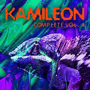 Picture for song 'Boogie on Down (Instrumental)' by artist 'Kamileon'