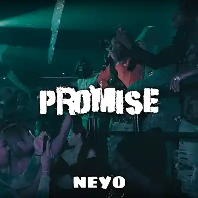 Picture for song '"PROMISE" UK Drill Type Beat x NY Drill Type Beat' by artist 'neyoooo36'