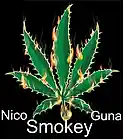 Picture for song 'Smokey (Single) Now On iTunes & Amazon For $0.99' by artist 'Nico Guna'