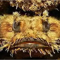 Picture for song 'PEON' by artist 'NO 19'