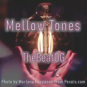 Picture for song 'Mellow Tones' by artist 'TheBeatOG'