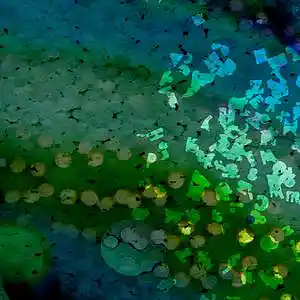 Picture for song 'sea swamp toitoise' by artist 'tichphillips'