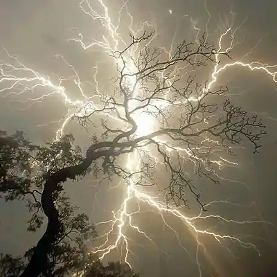 Picture for song 'ELECTRO HOUSE x 2HOLLIS TYPE BEAT - Bipolar' by artist 'WHAT?BOYBEATS'