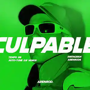 Picture for song 'CULPABLE (FEID TYPE BEAT)' by artist 'Arenrods'