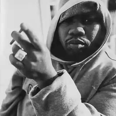 Picture for song 'stormfront (wu tang type beat)' by artist 'KroM Beatz'