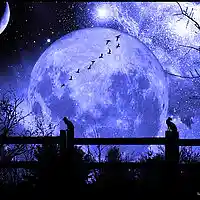 Picture for song 'Blue Moon' by artist 'Matt Newman'