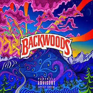 Picture for song 'BACKWOODS' by artist 'Mystique Beatz'