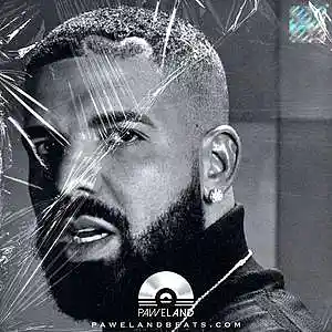 Picture for song 'INSTINCT - (Drake Type Beat, Future Beat)' by artist 'Paweland Beats'