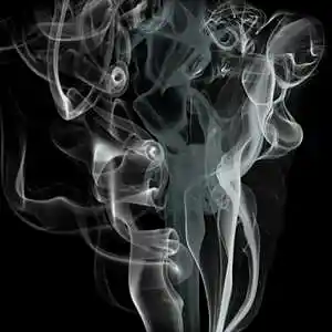 cover pic