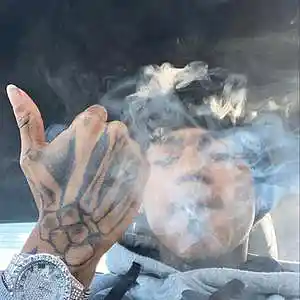 Song picture