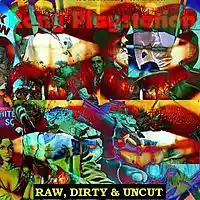 Picture for song 'Raw, Dirty & Uncut' by artist 'Rony Playstation'
