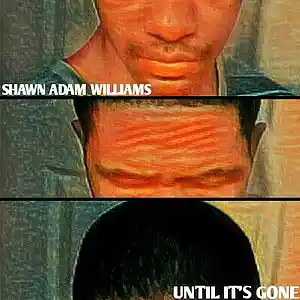 Picture for song 'Until It's Gone' by artist 'Shawn Adam Williams'