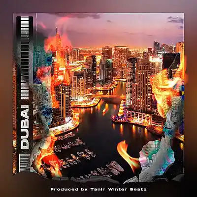 Picture for song 'Dubai (SOLD)' by artist 'Tanir Winter Beatz'