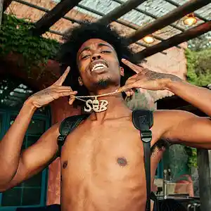 Picture for song 'Daboii x SOB x RBE Type Beat 1' by artist 'Zayroc Beats'