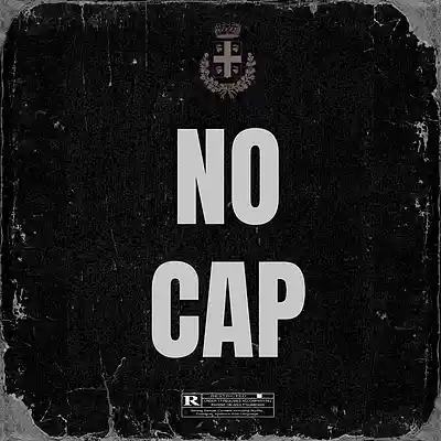 Picture for song 'NO CAP' by artist '10028 CAP'
