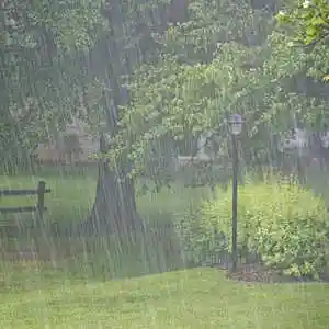 Picture for song 'Rainy day type beat' by artist '2win804'