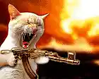 Picture for song 'Nasty' by artist 'Agent Orange 4120'