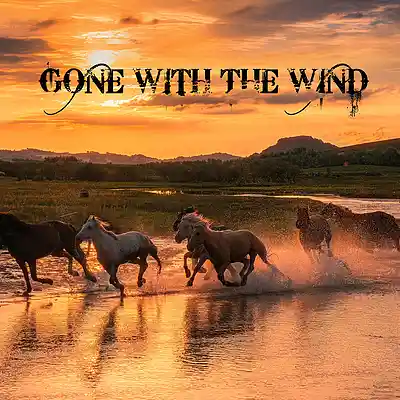 Picture for song 'Gone with the Wind' by artist 'Axiomatic Instrumentals'