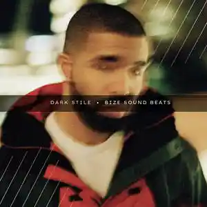 Picture for song 'STILE' by artist 'BIZE'