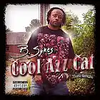 Picture for song 'Cool Azz Cat' by artist 'B Sykes'