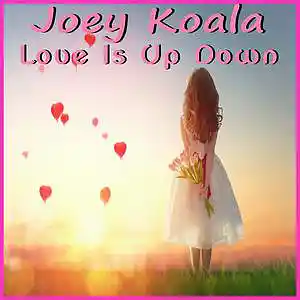 Picture for song 'Love Is Up Down' by artist 'Joey Koala'