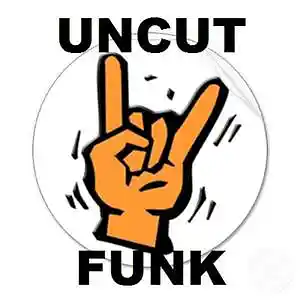 Picture for song 'FUNK IS WHAT WE DO' by artist 'MORRIS THE FUNKASAURUS'