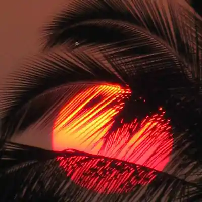 Picture for song 'SOMBER' by artist 'ProdbyMischief'