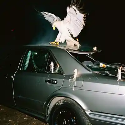 Song picture of 'Heaven's Exit / Lucki Sampled'
