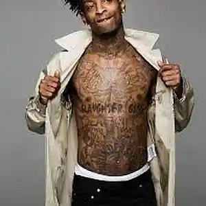 Picture for song 'SAVAGE MANSION' by artist 'SzTheReal'