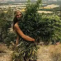 Picture for song 'Saint Mary Jane' by artist 'Tommy Galin'