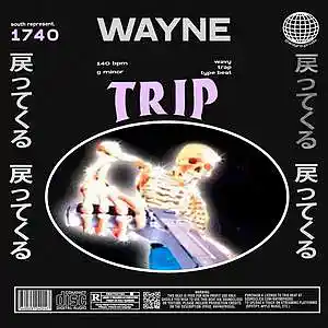 Picture for song 'trip 96' by artist 'wayne.prods'