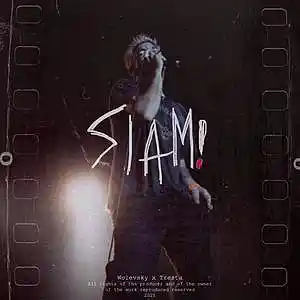 Picture for song 'BMTH x Linkin Park Type Beat - Slam!' by artist 'Wolevsky'