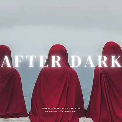 Picture for song 'Arabic Afrobeat x Rai Type Beat "AFTER DARK"' by artist 'yansi'