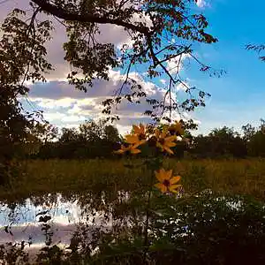 Picture for song 'Ocean' by artist 'Jeffrey Aldridge'