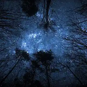 Picture for song 'DarkWinter (Buy1Get1FREE Ends Soon!)' by artist 'Cooarri'