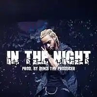 Picture for song '*NEW* IN THE NIGHT' by artist 'Denis The Producer'