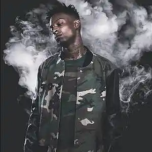 Picture for song 'Indica Flowers 21 savage type beat' by artist 'SplitBeats.prod'