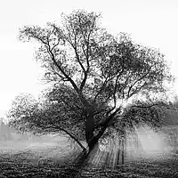 Picture for song 'Fall Season (Free DL)' by artist 'Samurai Hef'