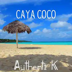 Picture for song 'Caya Coco (Karol G x Anitta Type Beat)' by artist 'Authenti K Beatmaker'