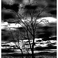 Picture for song 'Love Can Be A Stranger Too' by artist 'Bill Ely Band'