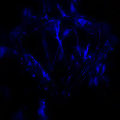 Picture for song 'Durban Poison' by artist 'Diamond L Official'